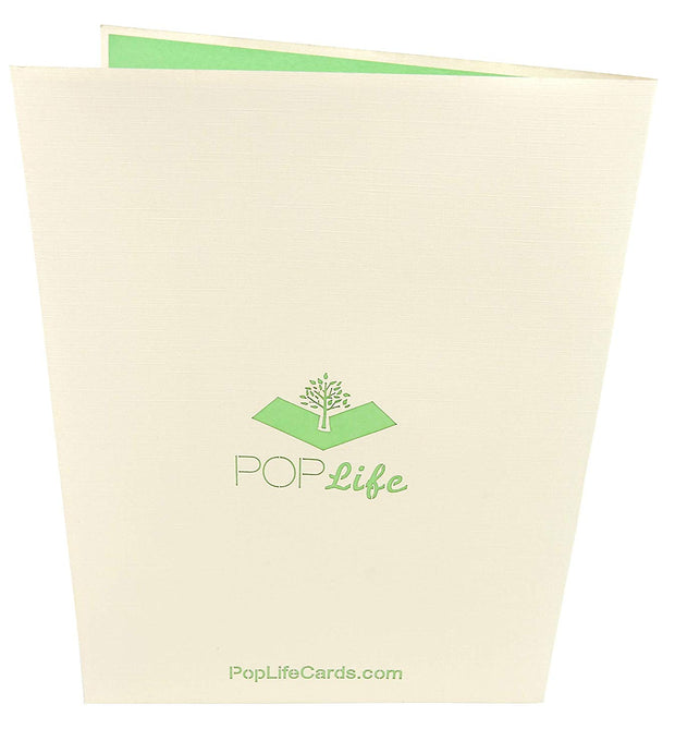 Back cover of card with beige color and printed PopLife logo