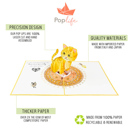 Funny Kitten Pop Up Card - GivePop, $1 donated to the Humane Society