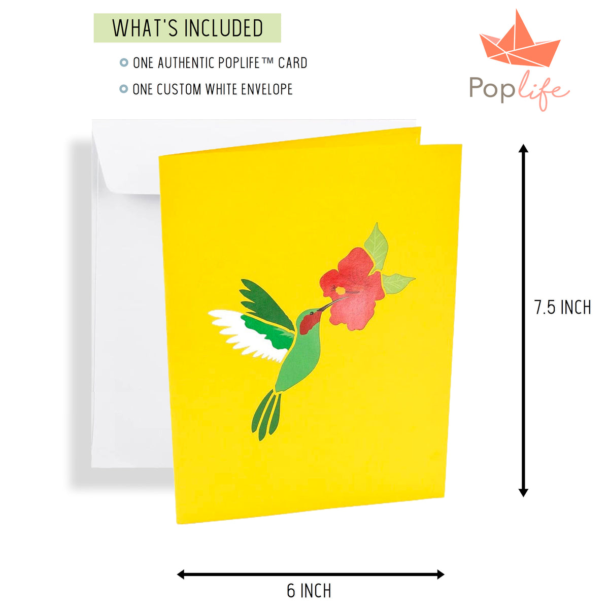 Hummingbird and Hibiscus Pop Up Card
