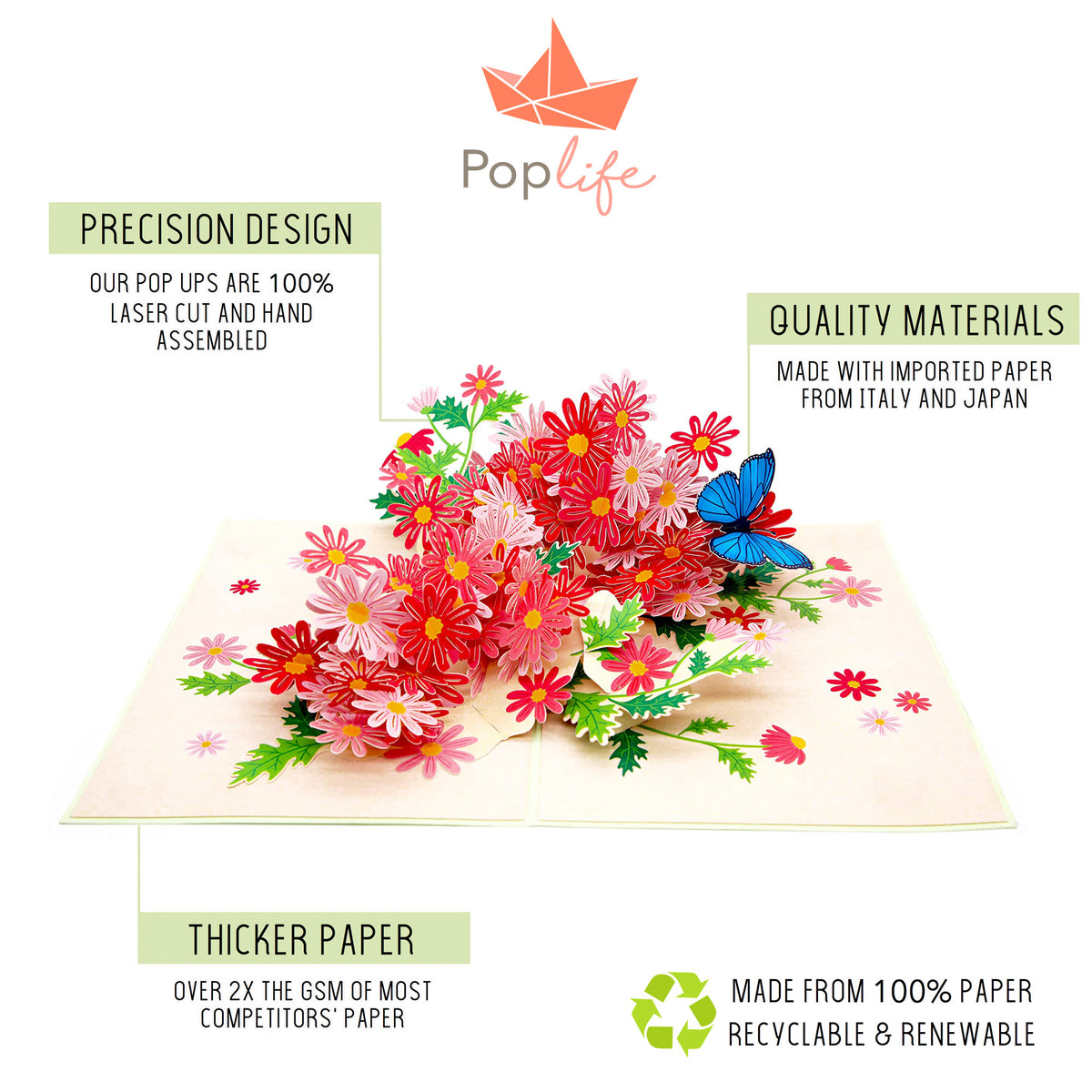 Colorful Marguerite Daisy Flowers Pop Up Card
