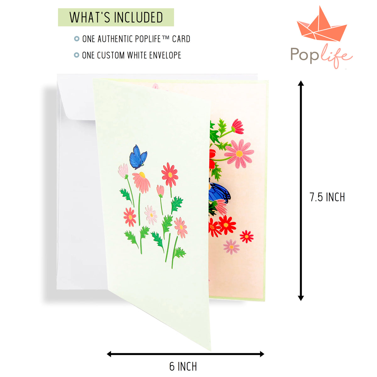 Colorful Marguerite Daisy Flowers Pop Up Card