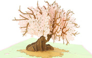 Features Sakura Tree Pop-Up