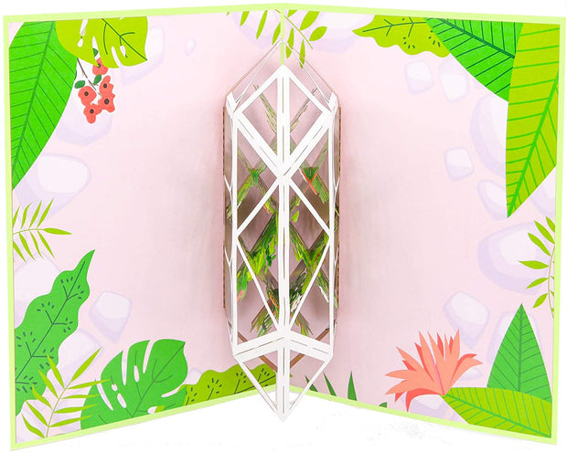 Greenhouse Garden Pop Up Card