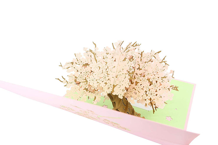 A Beautiful Pink Cherry Blossom Tree