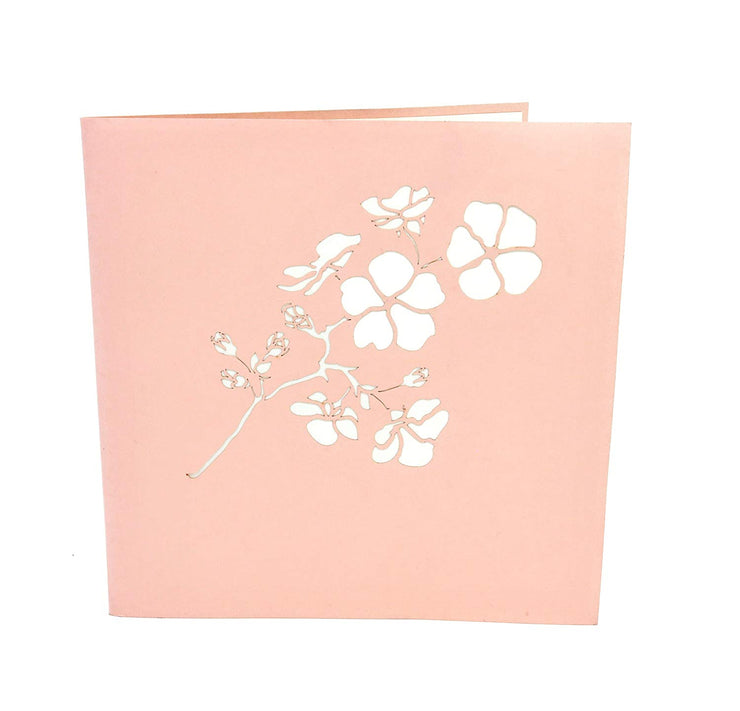 Front cover of card with pink color features Sakura flower