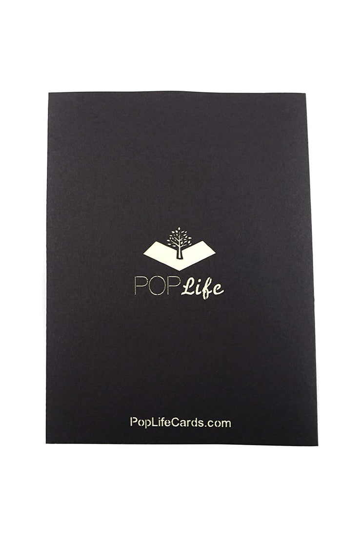 Back of PopLife Black Pirate Ship Pop Up Card for All Occasions