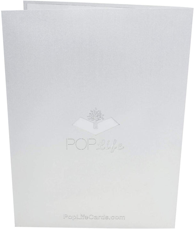 Mountain Skier Pop Up Card