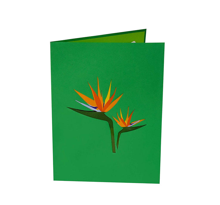 Tropical Waterfall Pop Up Card