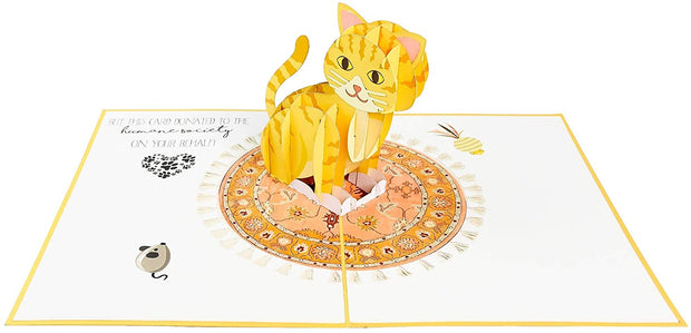 Funny Kitten Pop Up Card - GivePop, $1 donated to the Humane Society