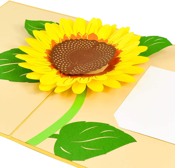 PopLife pop-up card features a beautiful yellow sunflower