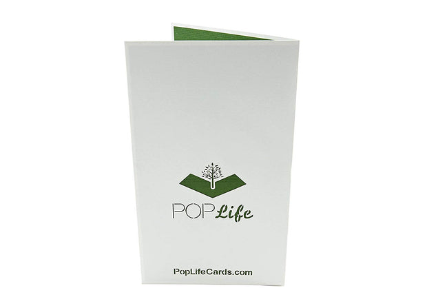 Lotus Blossom Pop Up Card