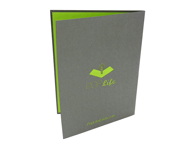 Mountain Goat Pop up Card