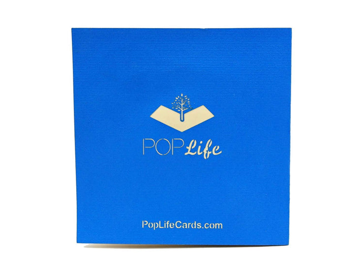 Back cover of card with blue color and printed PopLife logo