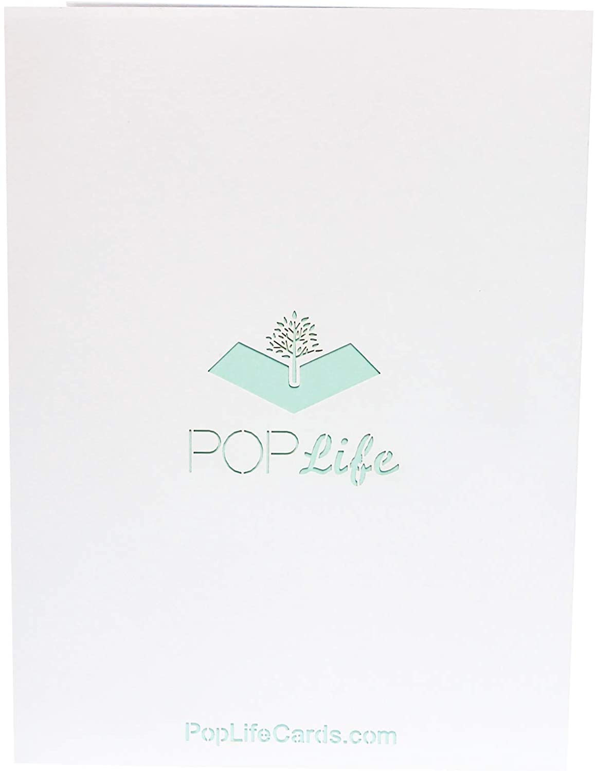 Naughty Octopus Pop Up Card