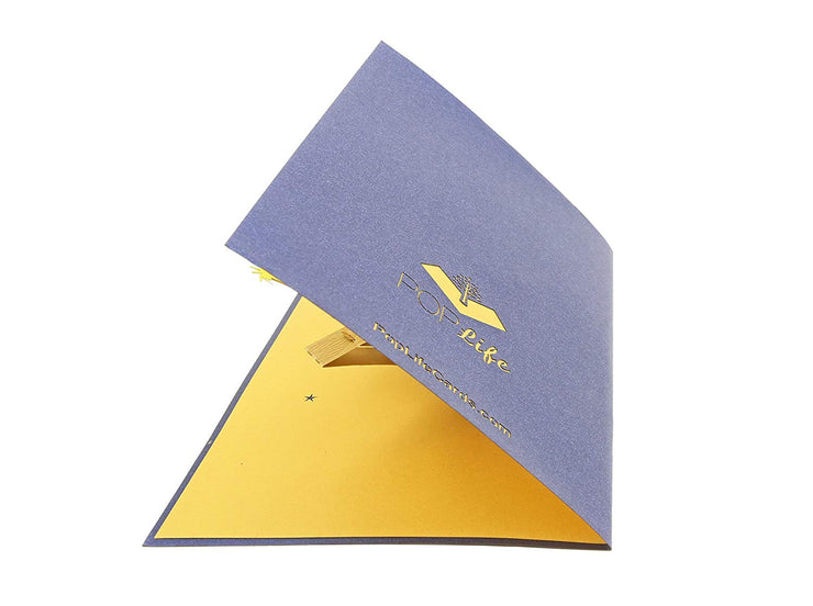 Nativity Manger, Birth of Jesus Pop Up Card