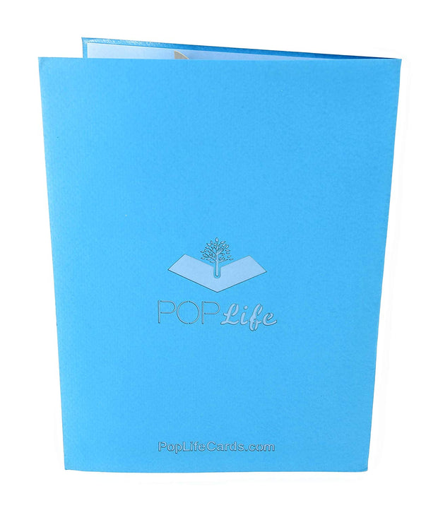 Back cover of card with blue color and printed PopLife logo