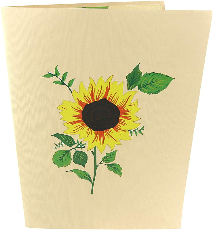 Front cover of card with light brown color features sunflower plant 