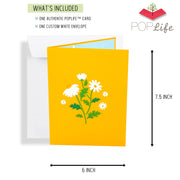 Daisy Flowers Pop Up Card