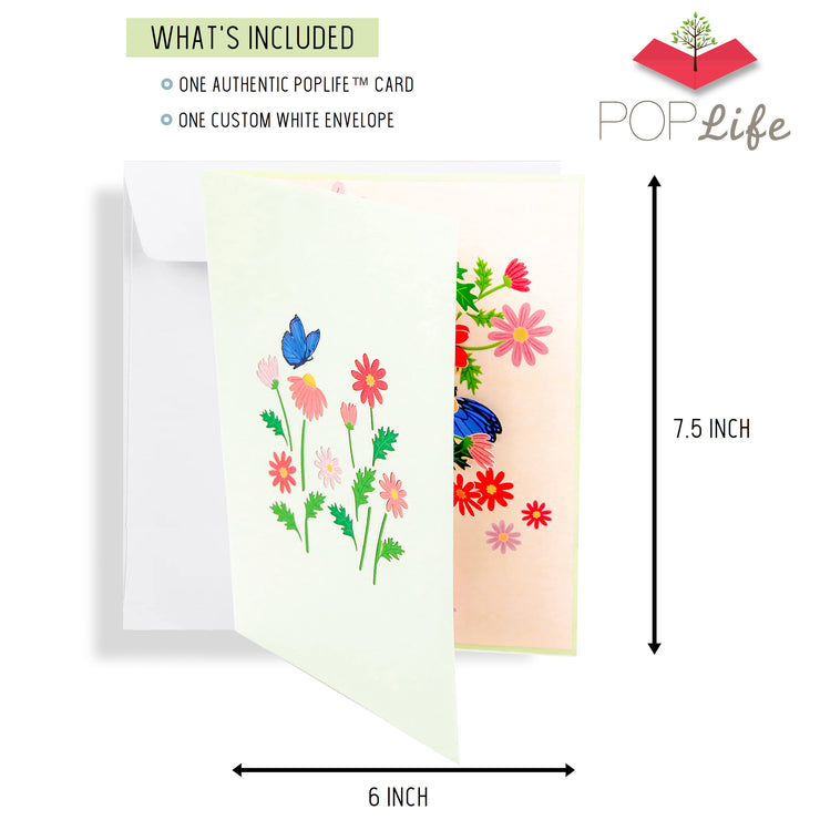 Colorful Marguerite Daisy Flowers Pop Up Card