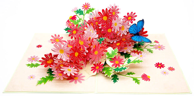 Colorful Marguerite Daisy Flowers Pop Up Card