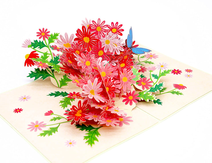Colorful Marguerite Daisy Flowers Pop Up Card