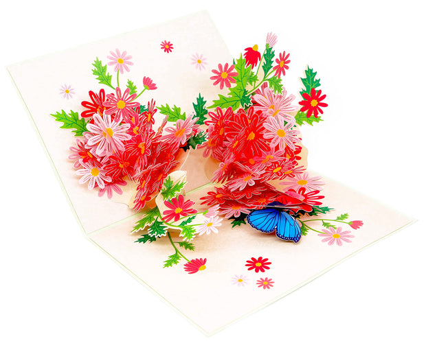 Colorful Marguerite Daisy Flowers Pop Up Card