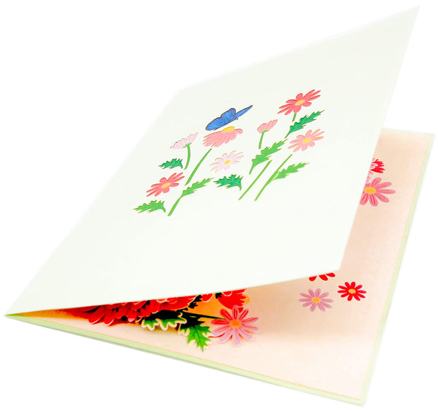 Colorful Marguerite Daisy Flowers Pop Up Card