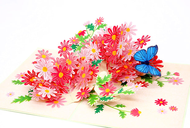 Colorful Marguerite Daisy Flowers Pop Up Card