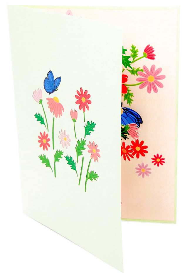 Colorful Marguerite Daisy Flowers Pop Up Card