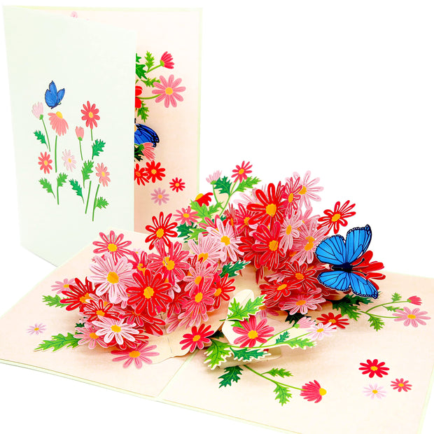 Colorful Marguerite Daisy Flowers Pop Up Card