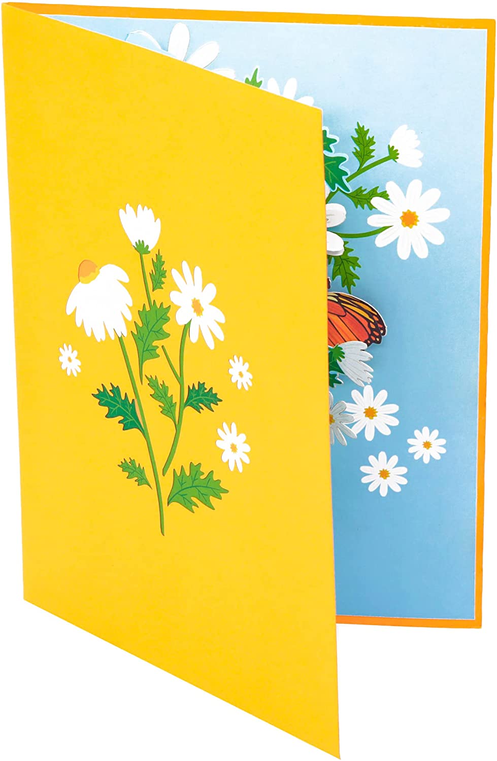 Daisy Flowers Pop Up Card