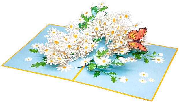 Daisy Flowers Pop Up Card