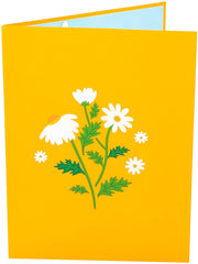 Daisy Flowers Pop Up Card