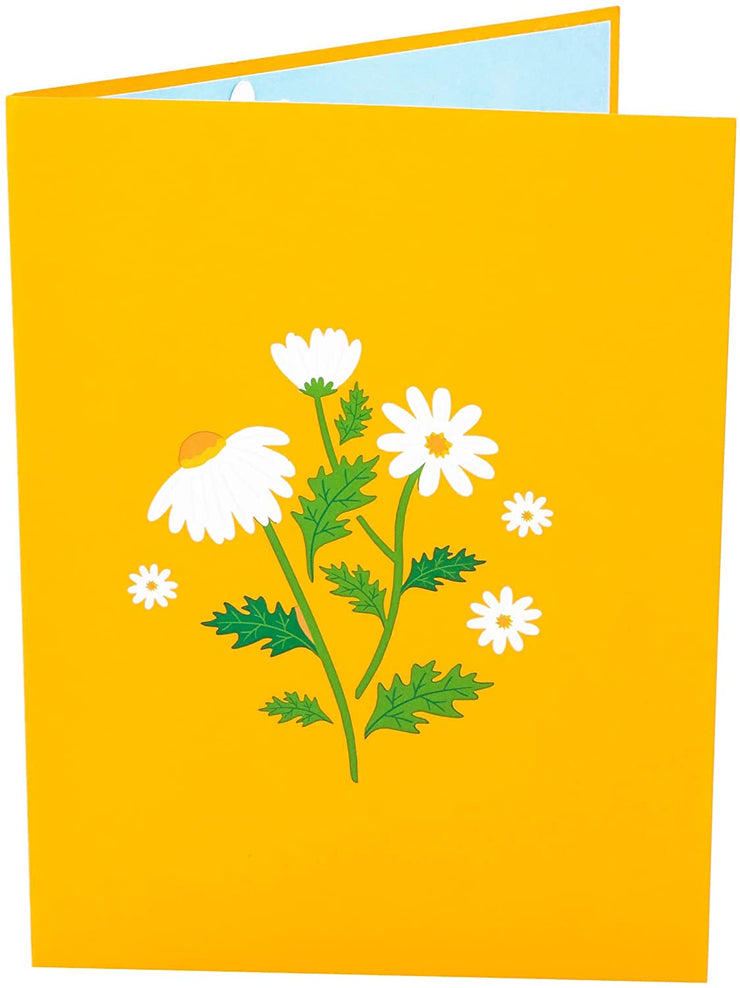 Daisy Flowers Pop Up Card