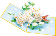 Daisy Flowers Pop Up Card