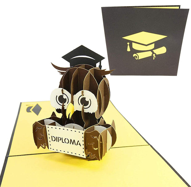 Graduation Diploma Owl Pop Up Card
