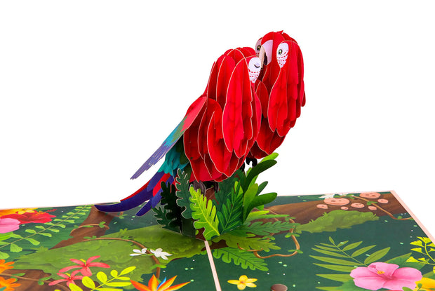 Parrot Love Birds Pop Up Card