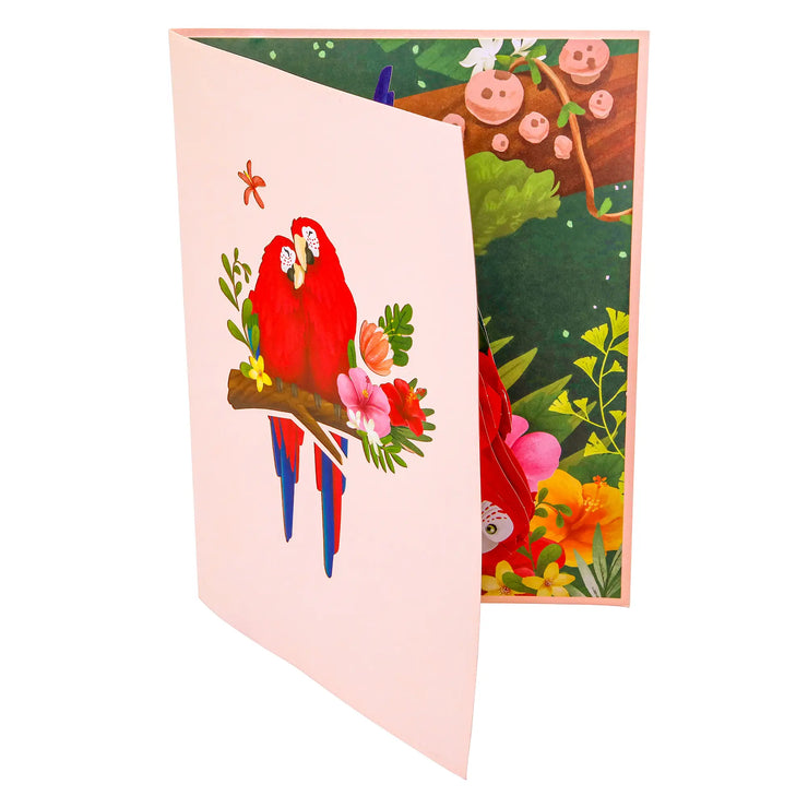 Parrot Love Birds Pop Up Card