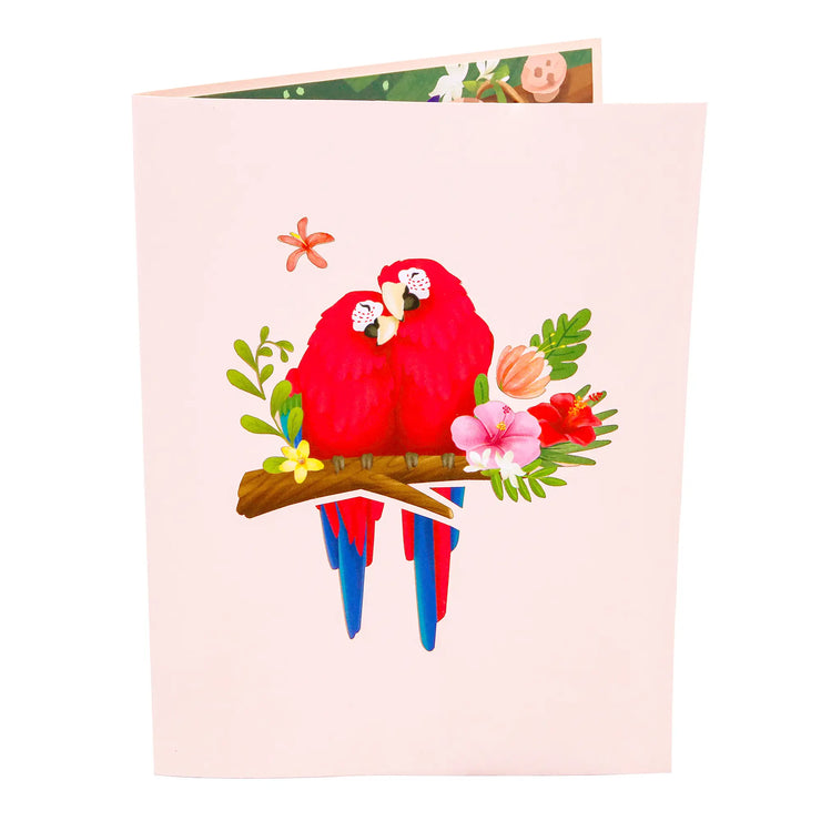 Parrot Love Birds Pop Up Card