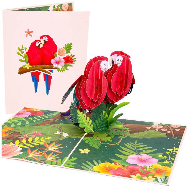 Parrot Love Birds Pop Up Card
