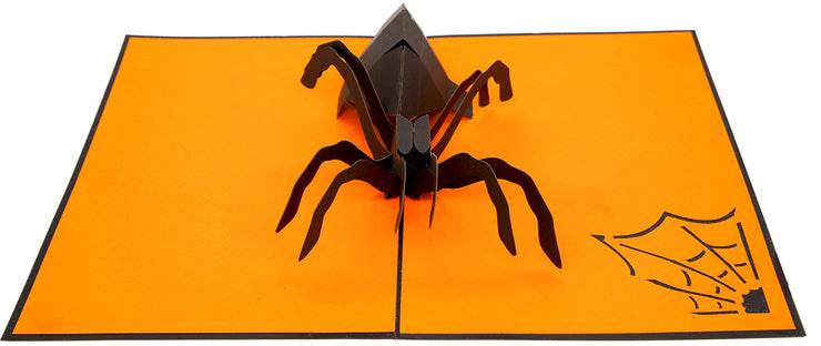 Spider Spooky Pop Up Card