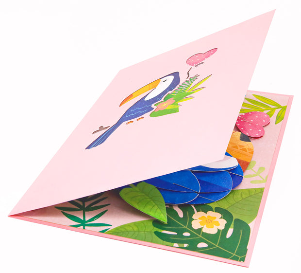 Toucan Birds Pop Up Card