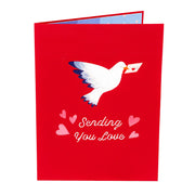 Sending Love Pop Up Card