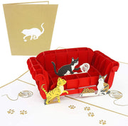 Cats Playing on Couch Pop Up Card