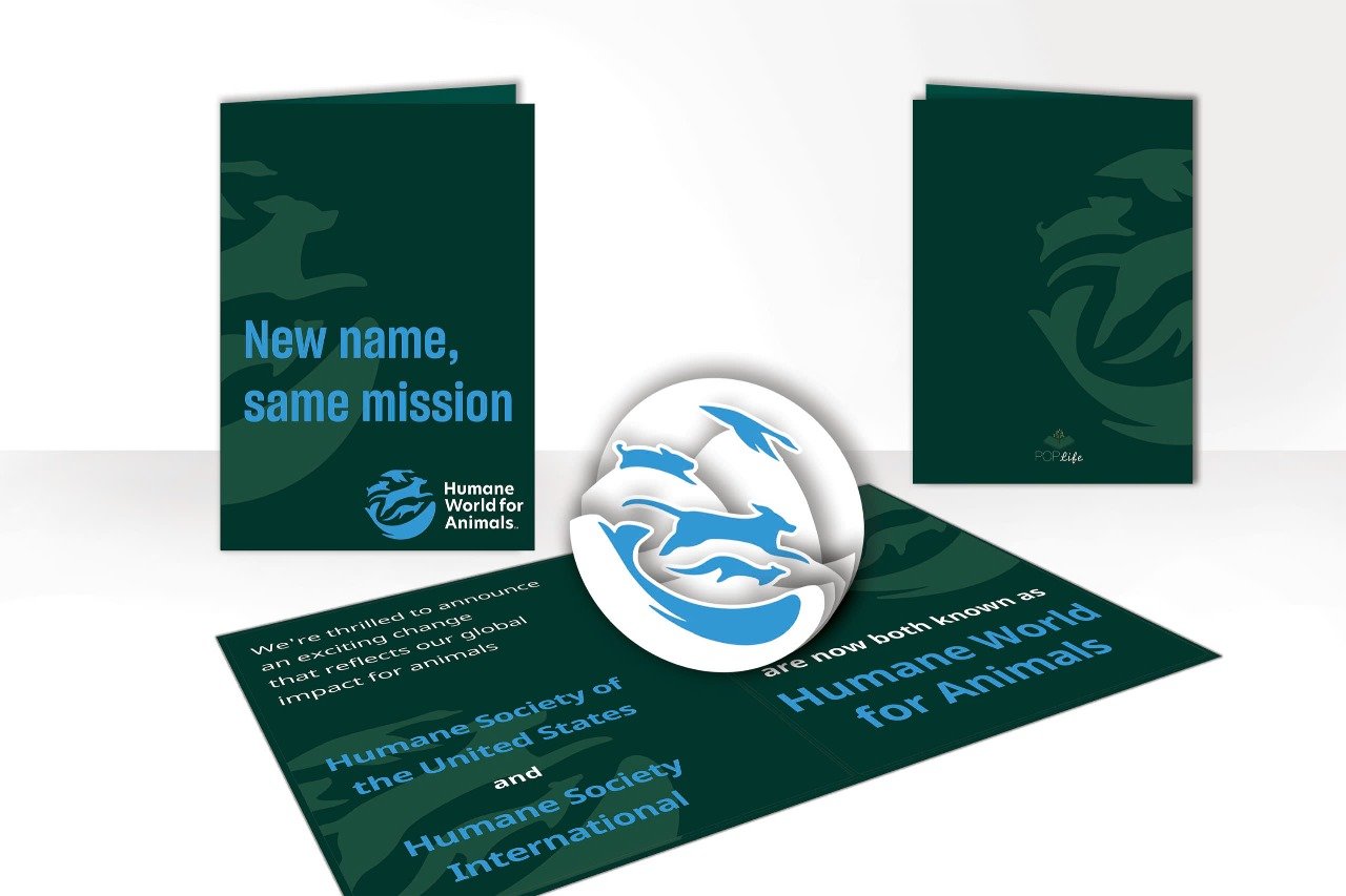 Humane World for Animals · Brand announcement